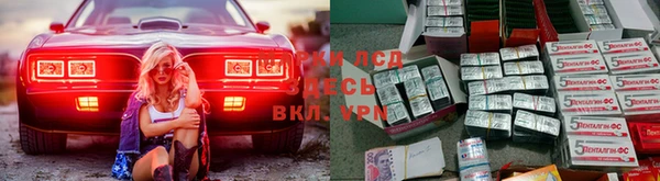 PSILOCYBIN Елабуга