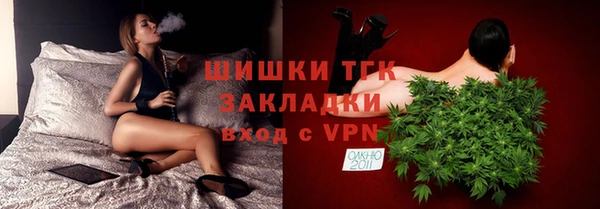 мдпв Елизово