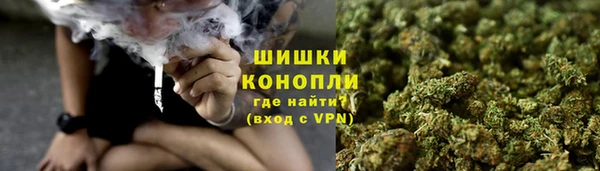 PSILOCYBIN Елабуга