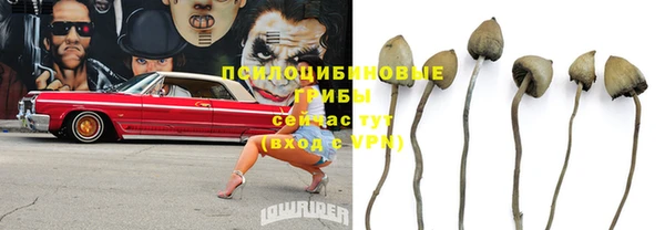 мдпв Елизово