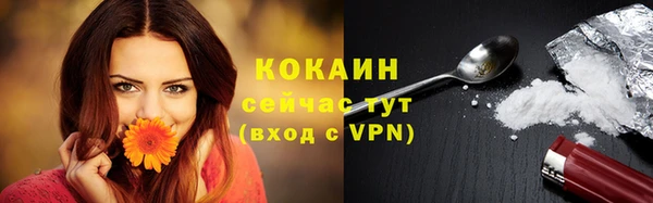 мдпв Елизово