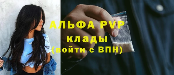 PSILOCYBIN Елабуга