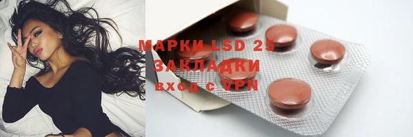 PSILOCYBIN Елабуга