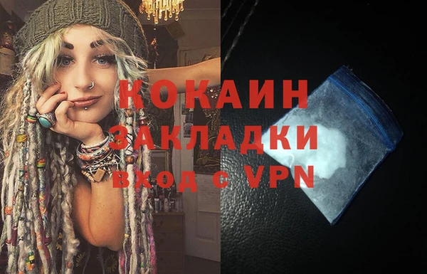 мдпв Елизово