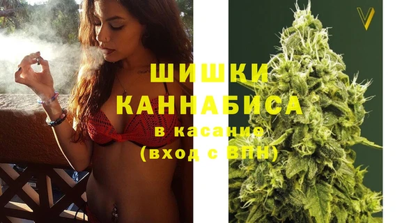 mdpv Ельня