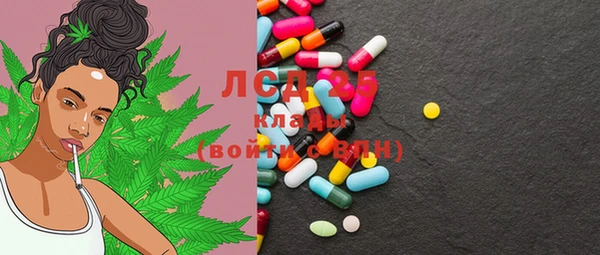 PSILOCYBIN Елабуга