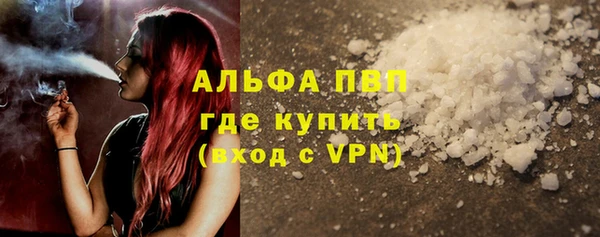 PSILOCYBIN Елабуга