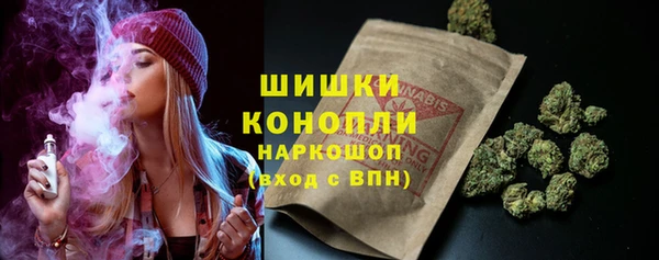 mdpv Ельня