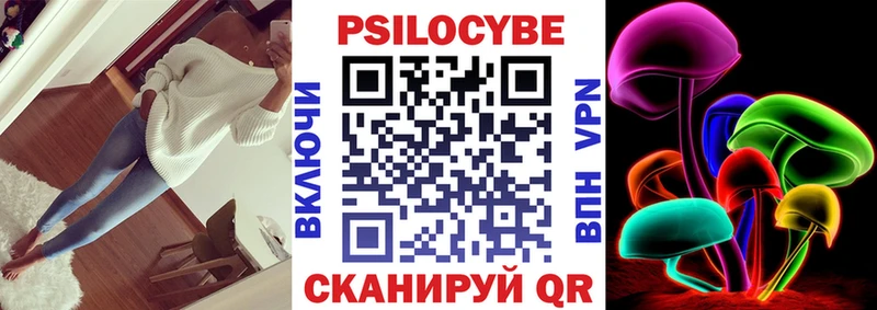 наркота  Майкоп  Псилоцибиновые грибы Psilocybe 